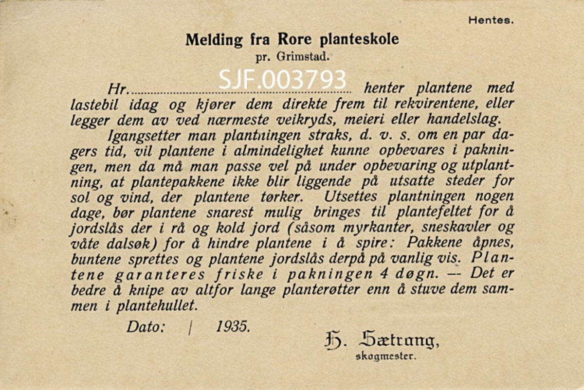 Såkalt tjenestebrevkort i formatet 9, 6 X 14, 5 centimeter, trykt på tynn, gulkvit kartong.  Den ene sida har en påtrykt heading, ”TJENESTEBREVKORT”.  Under er det et adressefelt, som ikke er utfylt med navn og adresse, men med årstallene ”1926-1930”, antakelig for å markere på et arkiveksemplar at dette kortet var brukt i nevnte periode.  Under adressefeltet finner vi returadressaten, ”Skogmester Sætrang, Tvedestrand”.  På motsatt side av kortet finner vi følgende trykte tekst:
”Hentes.   Melding fra Rore planteskole pr. Grimstad. 
Hr. ……………….. henter plantene med lastebil i dag og kjører dem direkte frem til rekvirentene, eller legger dem av ved nærmeste veikryds, meieri eller handelslag. 
Igangsetter man plantningen straks, d. v. s. om et par dagers tid, vil plantene i almindelighet kunne opbevares i pakningen, men da må man passe vel på under opbevaring og utplantning, at plantepakkene ikke bare blir liggende på utsatte steder for sol og vind, der plantene tørker.  Utsettes plantningen nogen dage, bør plantene snarest mulig bringes til plantefeltet for å jordslås der i rå og kold jord (såsom myrkanter, sneskavler og våte dalsøkk) for å hindre plantene i å spire.  Pakkene åpnes, buntene sprettes og plantene jordslås derpå på vanlig vis.  Plantene garanteres friske i pakninfgen 4 døgn – Det er bedre å knipe av altfor lange planterøtter enn å stuve dem sammen i plantehullet. – Plantene blir muligens pakket ubuntet. 
Dato:  /  1935.  
H. SÆTRANG skogmester. ”

