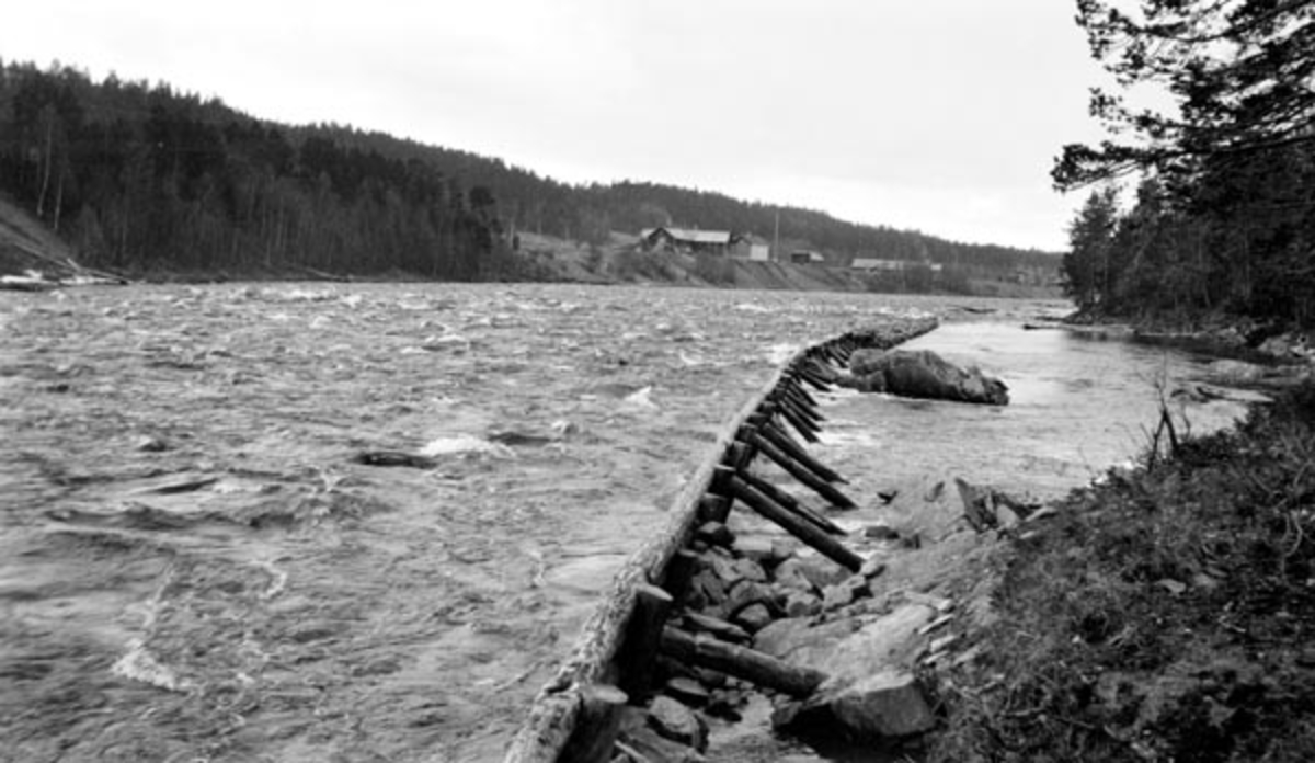 Skådam eller tømmerskjerm i ved Klevskjærene i Glomma, antakelig i Tolga kommune i Nord-Østerdalen.  Dette er en såkalt bukkeskjerm, det vil si en «vegg» av tømmerstokker som er spikret til ei rekke av skråttstilte trebukker, som igjen er forankret med påkastet stein mot landsida.  Hensikten med konstruksjonen har vært å forebygge at fløtingstømmeret skulle drive mot land og sette seg frast bak noen digre steinblokker som lå her.  På motsatt side av elva er det en skogkledd åsrygg, riktignok med et par gardsbruk på elvebrinken.