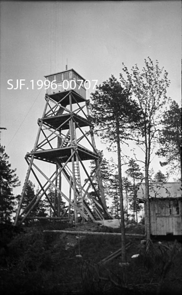 Tårnet på Haukenesfjellet skogbrannvaktstasjon i Rømskog i Østfold.  Denne lokaliteten har hatt tre brannvakttårn.  Det første ble reist av Østfold Skogselskap i 1909 og inngikk da i et nettverk med Vedøfse i Aremark, Høyås i Asak (Halden) og Linnekleppen mellom Aremark og Rakkestad.  Det første tårnet råtnet og ble i 1928 erstattet av et nytt tårn.  Tårn nummer tre ble reist i 1953.  De to siste tårnene ble reist i samarbeid mellom Østfold Skogselskap og forsikringsselskapet Skogbrand.  Skogbrannvaktholdet på Haukenesfjellet ble avviklet i 1976.  Etter den tid har lokale flyentusiaster fått betaling for å gjøre rekognoseringsturer.  Det siste tårnet på Haukenesfjellet ble i 2007-08 overtatt av Den norske Turistforenings avdeling i Østfold.  Turistforeningen vil restaurere tårnet med sikte på å innrede overnattingsrom for vandrere.  Om lag samtidig har Norsk Skogmuseum bygd en fullskalakopi av dette tårnet på sitt uteområde med støtte fra Skogbrand. 

Fotografiet viser antakelig det andre tårnet på Haukenesfjellet (1928-1952).  Det ble reist av tårnbyggeren Anton Lillevold fra Furnes i Hedmark og hans mannskap.  Tårnet var en slags standardmodell, cirka 10 meter høgt og sammensatt av om lag 65 tømmerstokker.  Fire solide hjørnestolper er reist med rotenden på berget slik at toppene skrår mot hverandre og danner en bratt, pyramidal form.  Konstruksjonen er avstivet med kryssmonterte tømmerstokker i tre nivåer på sideflatene.  På toppen er det bygd ei utkikkshytte i bordkledd bindingsverk (nederst) og tettstilte vindusruter (over).  Øverst på det pyramidale hyttetaket skimtes en stake med lynavleder.  Adkomsten til hytta skjer via tre stiger og to avsatser før en når lemmen i golvet på utkikkshytta.  På bakken, til høyre for tårnet, ses hjørnet av ei hytte som antakelig tjente som bosted for brannvaktene.  Tårnet og den tilhørende hytta ligger på et berg som visstnok rager 335 meter over havet og skal være Østfolds nest høyeste punkt.  Vegetasjonen på stedet preges av spredt furuskog.  I forgrunnen er et par trær felt, muligens for å bedre utsikten i denne retningen.