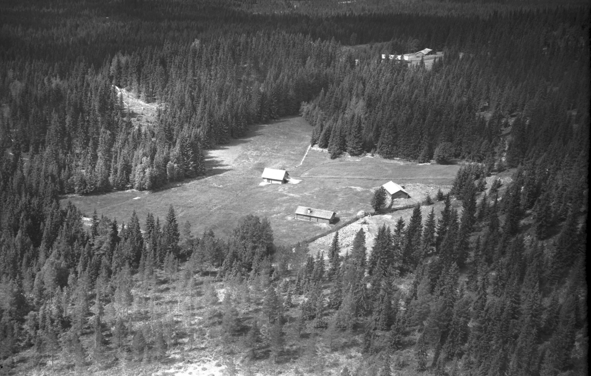 Løvhaugseteren (Gnr 130/10) i Julussdalen. Løvhaugvegen 337. Har også hørt denne omtalt som Gobakkvollen.