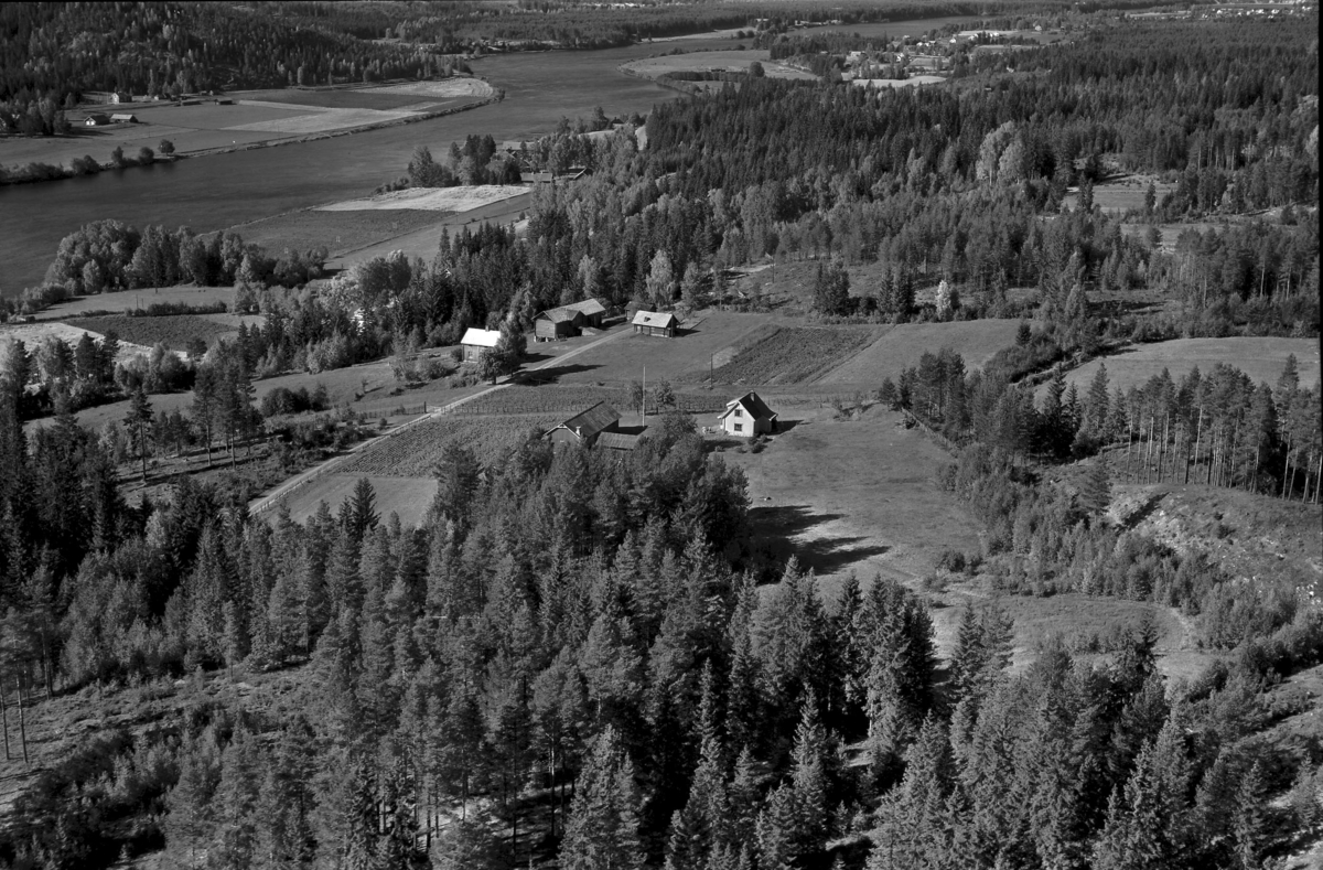 Venstad og Kvithammeren