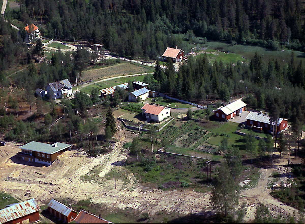 Dammenvegen