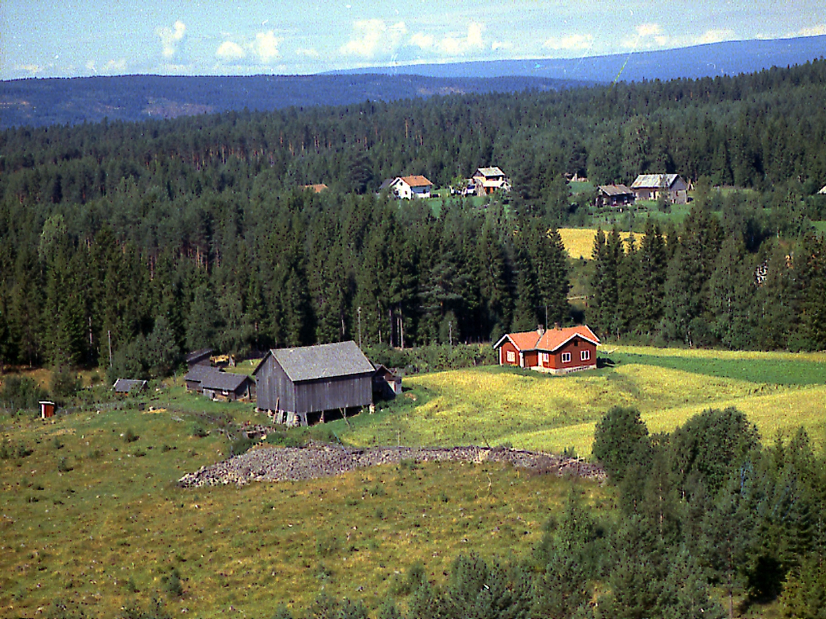 Sørli
