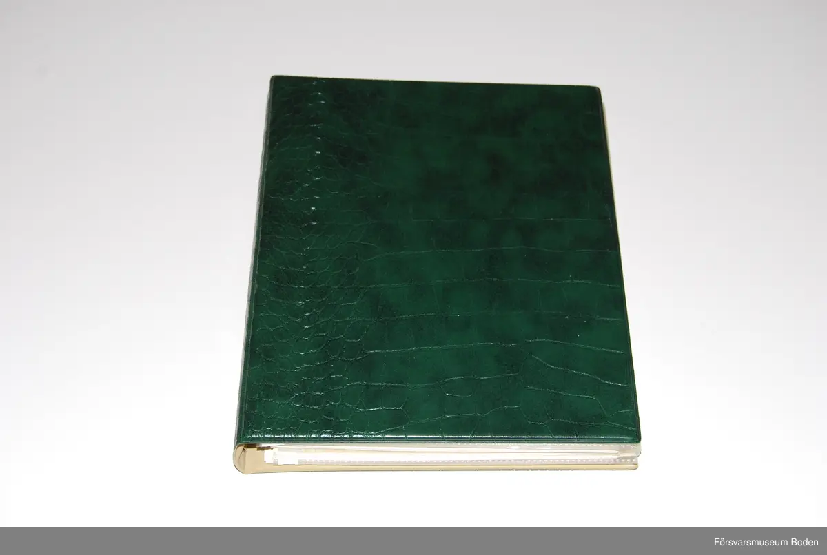 Album innehållande fotografier med utförliga texter, tjänstgöringsintyg, ryska brev (översatta) och liknande sammanställda av Karl Lindskog. Författaren tjänstgjorde vid Märkäjärvi och enligt honom kan albumet ses som ett komplement till kamraten Ragnar E. Naess bok "Marschen till Märkäjärvi" (1940). Fotografierna är i de flesta fallen tagna av furir Rosenquist enligt kommentar i albumet. På slutet finns en redogörelse för en beredskapsplacering i Värmland efter hemkomsten från Finland.