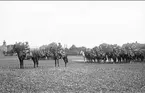 Regementet till häst uppställt på fältet söder om kasern för avlämning före sommarmarschens början 1929.