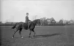 Ryttmästare Rolf Örn på en av sina många förnämliga tävlingshästar. Denna är Kornett (1918-1938) som deltog i olympiaderna i Amsterdam 1928, Los Angeles 1932 och Berlin 1936.