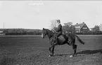 Ryttmästare Rolf Örn på en av sina många förnämliga tävlingshästar. Denna är Kornett (1918-1938) som deltog i olympiaderna i Amsterdam 1928, Los Angeles 1932 och Berlin 1936.