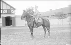 Livhusar i uniform m/1910 och mössa m/ä med tilldelad stamhäst på kaserngården söder om skvadronstallarna