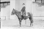 Livhusar i uniform m/1895 (m/ä) med tilldelad stamhäst vid skvadronstallets långsida