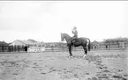 Skövde fältrittklubbs tävlingar 1932. Dressyrtävling på sandbanan öster om ridhuset. I bakgrunden järnpaddocken.