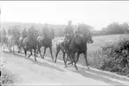 Patrullfälttävlan 1934. I täten löjtn. Folke Barkman på tjänstehästen Flandern - Landgraf och serg. T Magnusson.