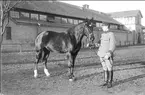 Livhusar i uniform m/1910 med stamhäst, öster om skvadronstallet