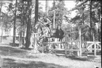 Terränghoppning/banhoppning, kavalleriofficersaspirantskolan 1934-35.