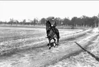 Percy Hamilton till häst. Stallmästare ridskolan i Strömsholm, major Smålands Husarer, akademistallmästare i Uppsala.