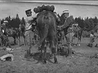 1930 - talet. Bivackliv - sadling.