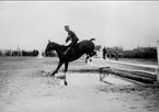 1. årseleverna på Strömsholmskursen på tävlingsresa till Stockholms fältrittklubbs tävlingar på Gärdet i Stockholm. Strömsholm 1910-11.