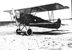 1919. Kapten Ballods flygplan Fokker DV 11.