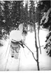 Fallskärmsjägarskolan Karlsborg slutet av 1950-tal. Vinterövning.