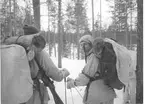 Fallskärmsjägarskolan Karlsborg slutet av 1950-tal. Vinterövning.