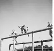 Fallskärmsjägarskolan i Karlsborg 1952-1953.