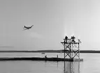 Fallskärmsjägarskolan i Karlsborg 1958.Fjs-dag. Hoppning.