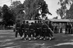 Fallskärmsjägarskolan i Karlsborg 1959.Örnparad.