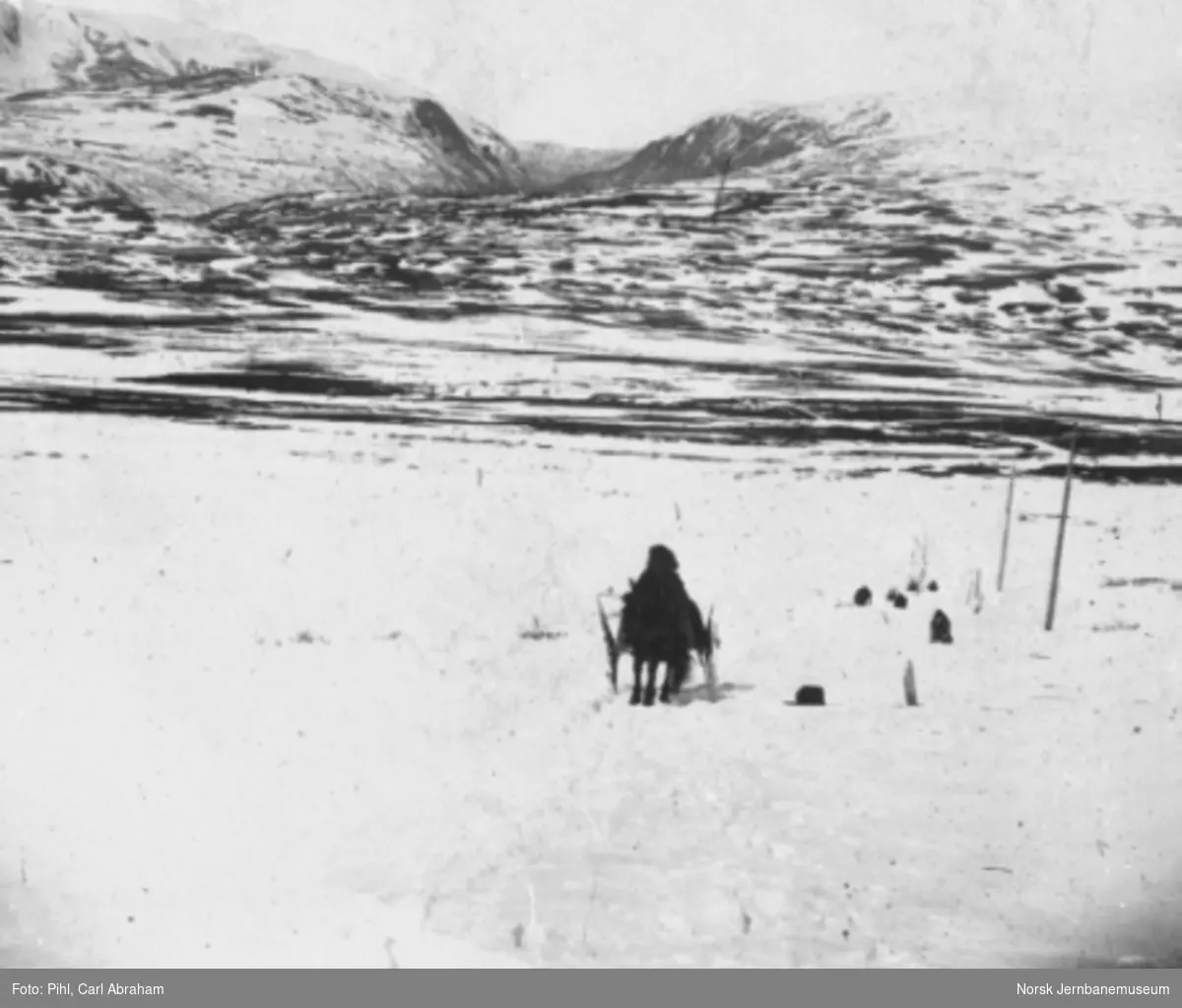 Landskapsmotiv fra Dovrefjell mot Snøhetta