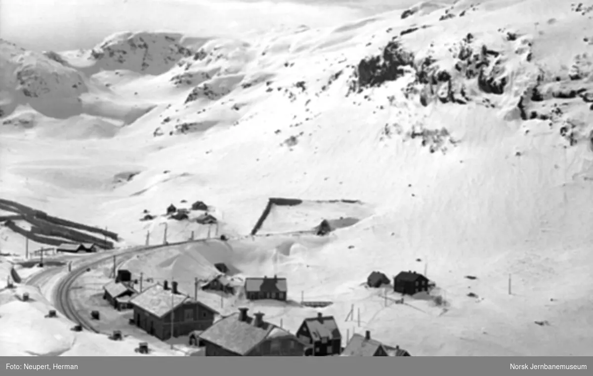 Oversiktsbilde over Myrdal stasjon