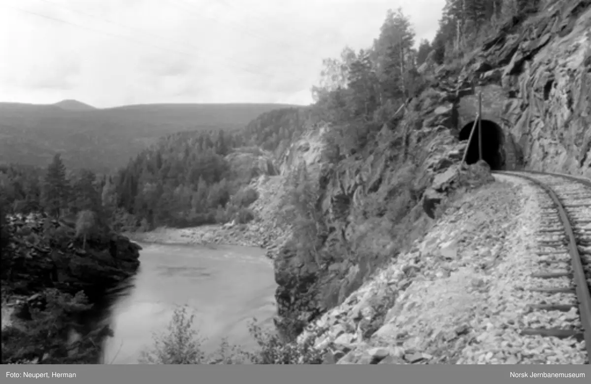 Tunnel på Numedalsbanen