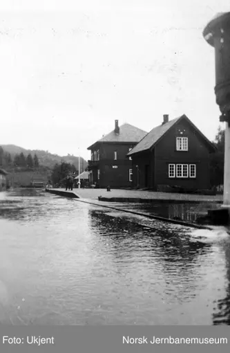 Moi stasjon ved flommen