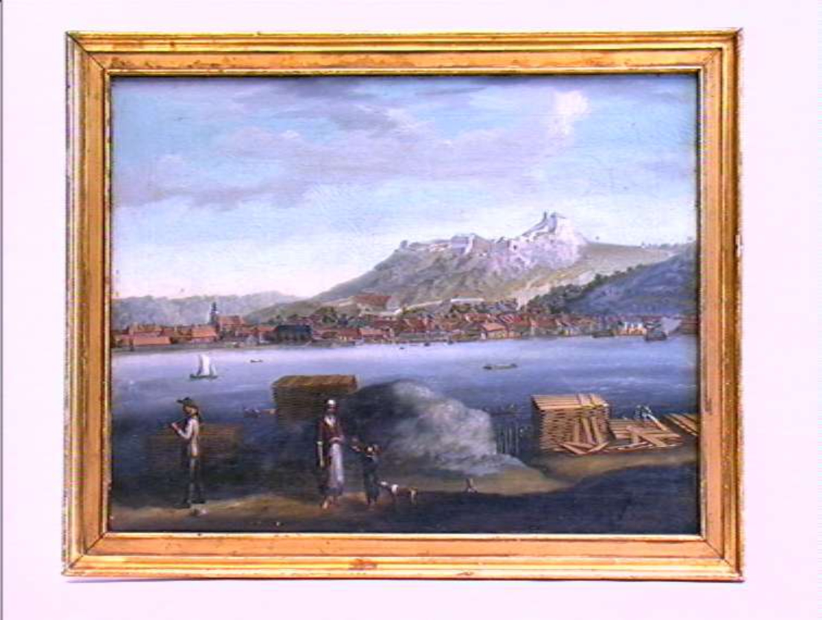 Utsikt over Halden.