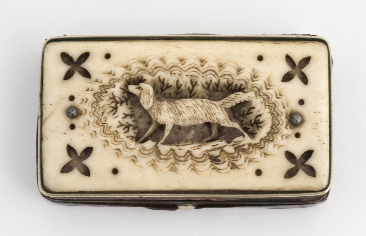 Snusdåse, stål trukket med skinn, lokk utskåret ben, hund i midten. Muligens 1840-årene fra Sørfondens samling.