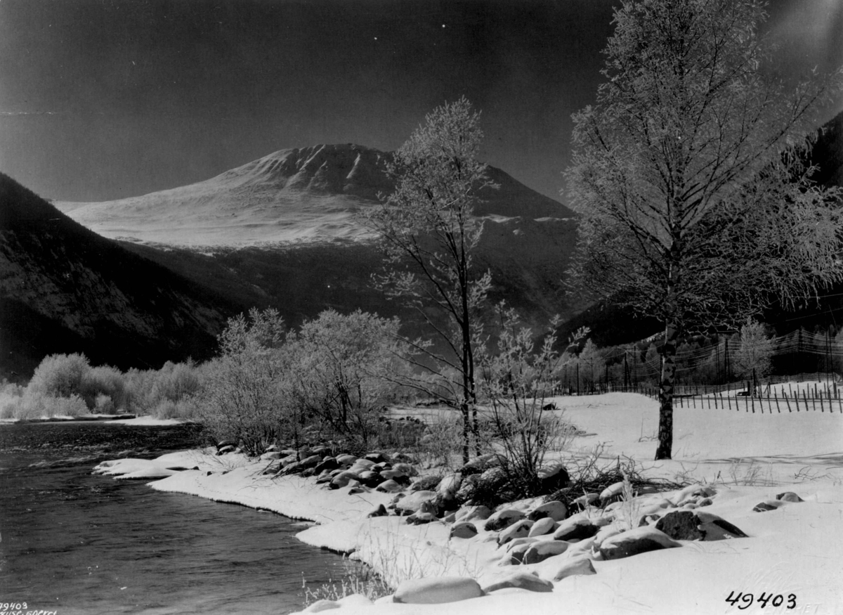 Vinter og snø ved Gaustatoppen i Måna i Vestfjorddalen.