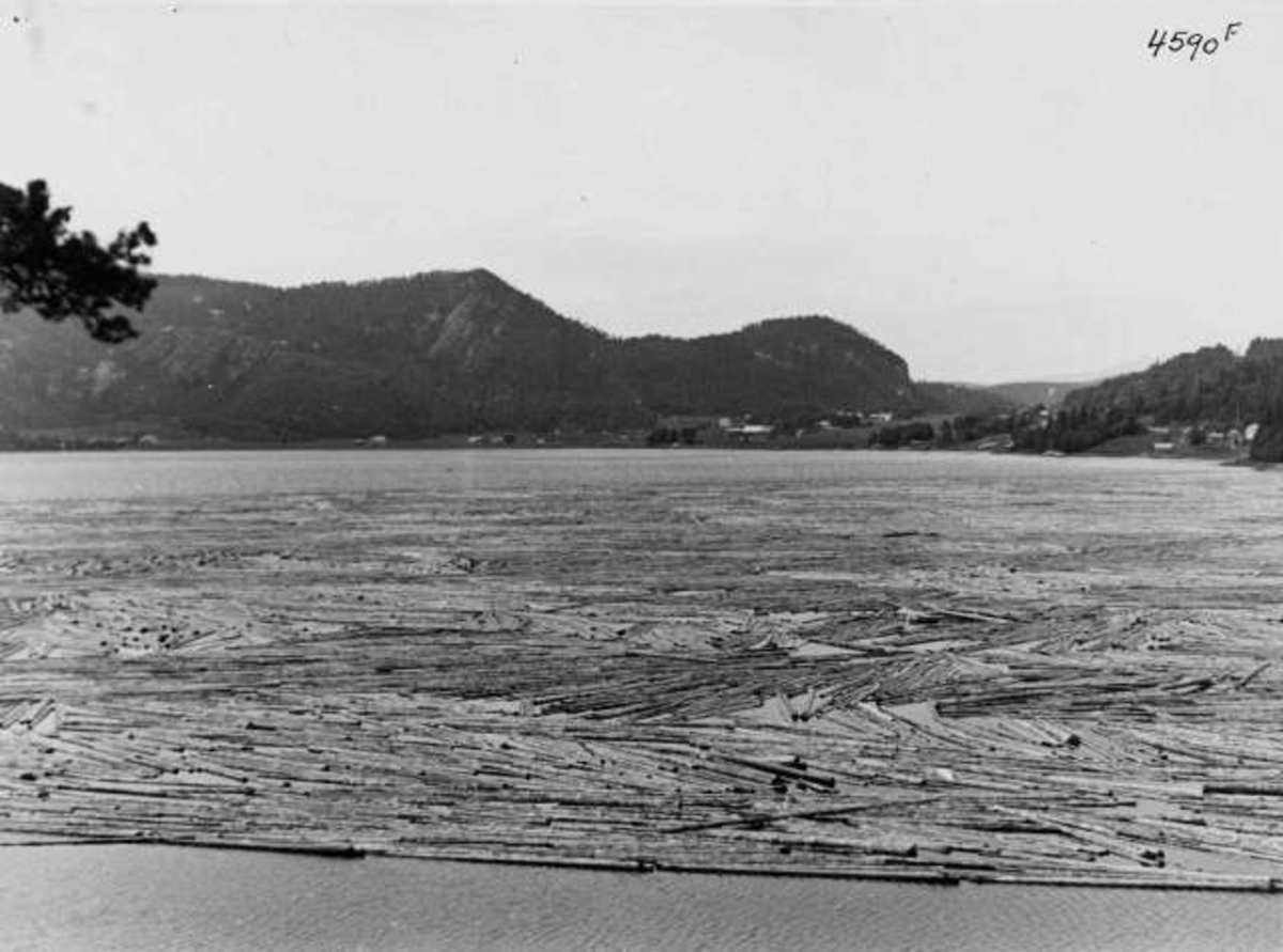 Tømmerfløting i Namsen, ved Fjærbotnet på Bangsund i Namsos, Nord-Trøndelag, 1936. Fra protokoll:" Trøndelag Tømmer i Namsen 1936"