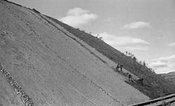 Nordlandsbaneanlegget : bearbeielse av skråninger i skjæring