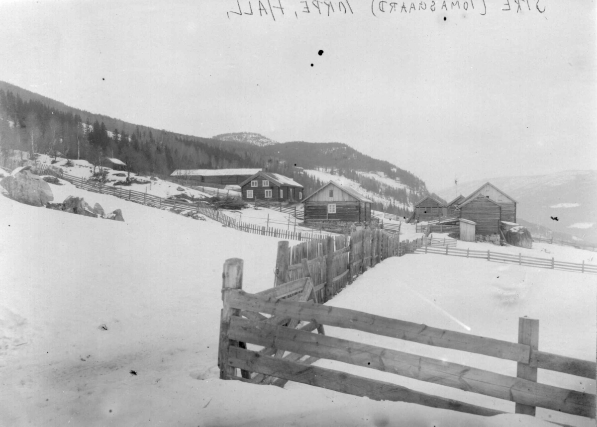 "Sire Tomasgaard Torpe Hall" påskrift speilvendt fotografi. Hallingdal ved Ål. Fotografert mellom 1911 og 1915.