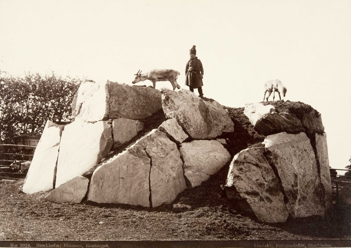 Skansen, Stockholm.
Renberget 