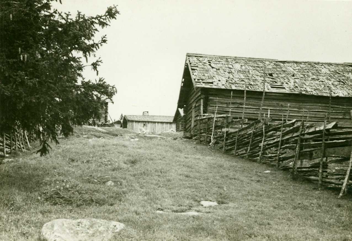 Nyseter, Feiring, Eidsvoll, Akershus. Setertun, gutu fra fjøsene med skigarder.