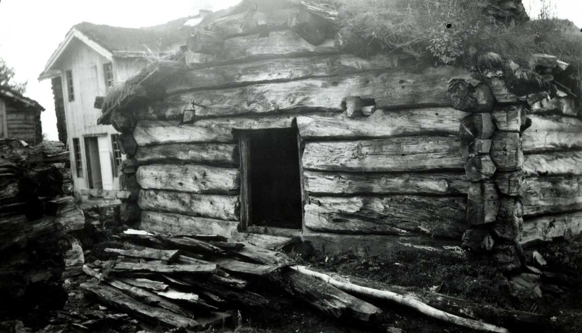 Engan, Os, Nord Østerdal, Hedmark 1941. Fjøs i tømmer med torv på taket. Nå på Norsk Folkemuseum.