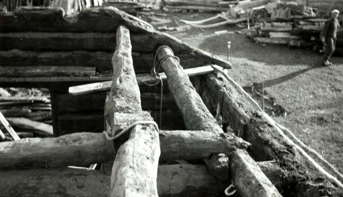 Engan, Os, Nord Østerdal, Hedmark 1941. Fjøs i tømmer under riving, vegger og takstokkert. Nå på Norsk Folkemuseum.