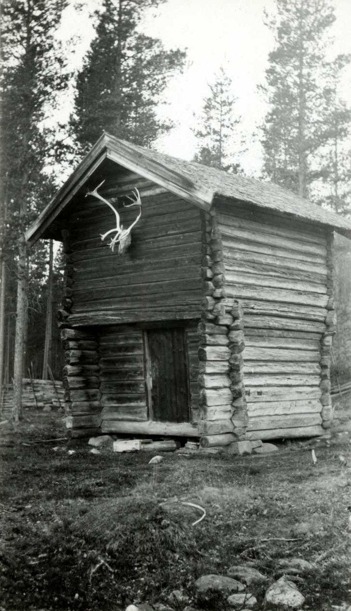 Grøtting, Rendalen, Nord Østerdal, Hedmark 1941. Stabbur med gevir på veggen.