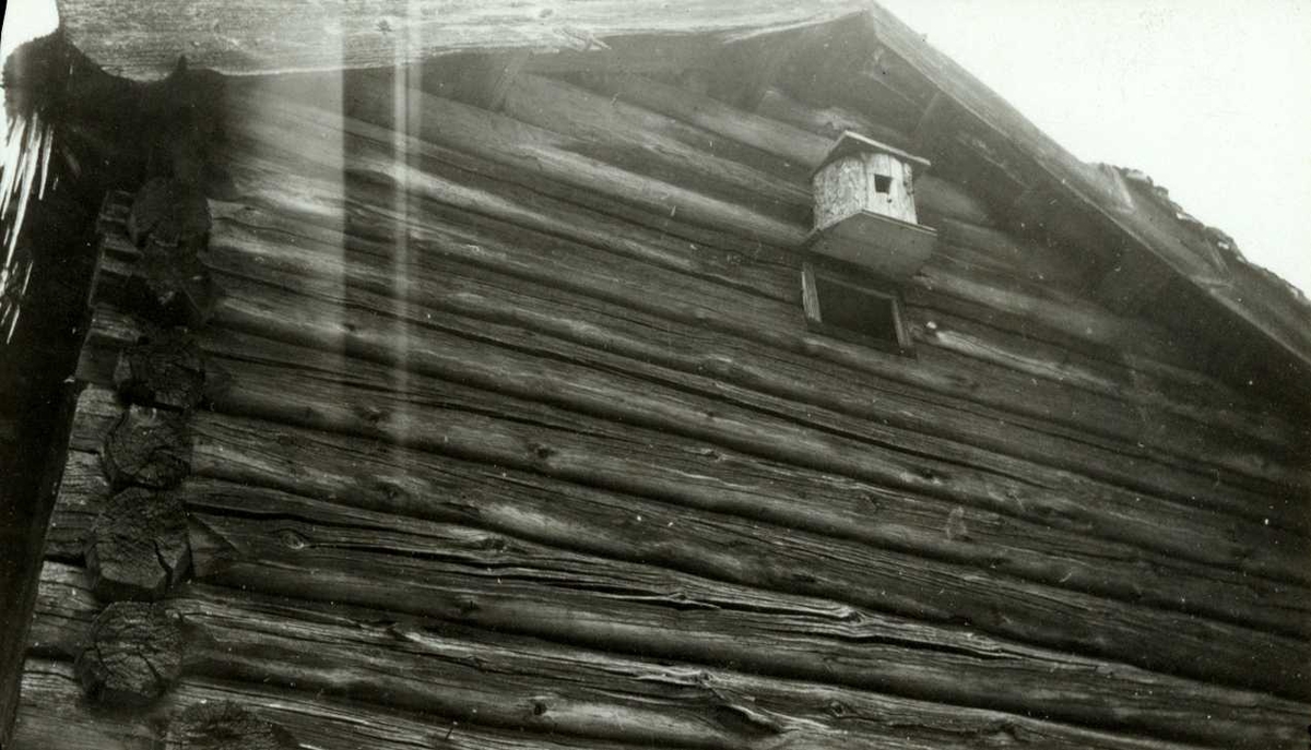 Søndre Murud, Elverum, Sør-Østerdal, Hedmark. Detalj av loft med fuglekasse under mønet. Nå på Norsk Folkemuseum.