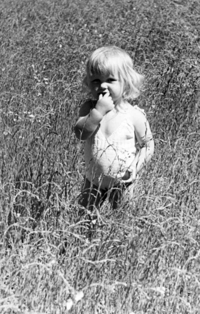 Sommeren 1949. Ellen Kjellberg i linåkeren på <Vestlandet>.