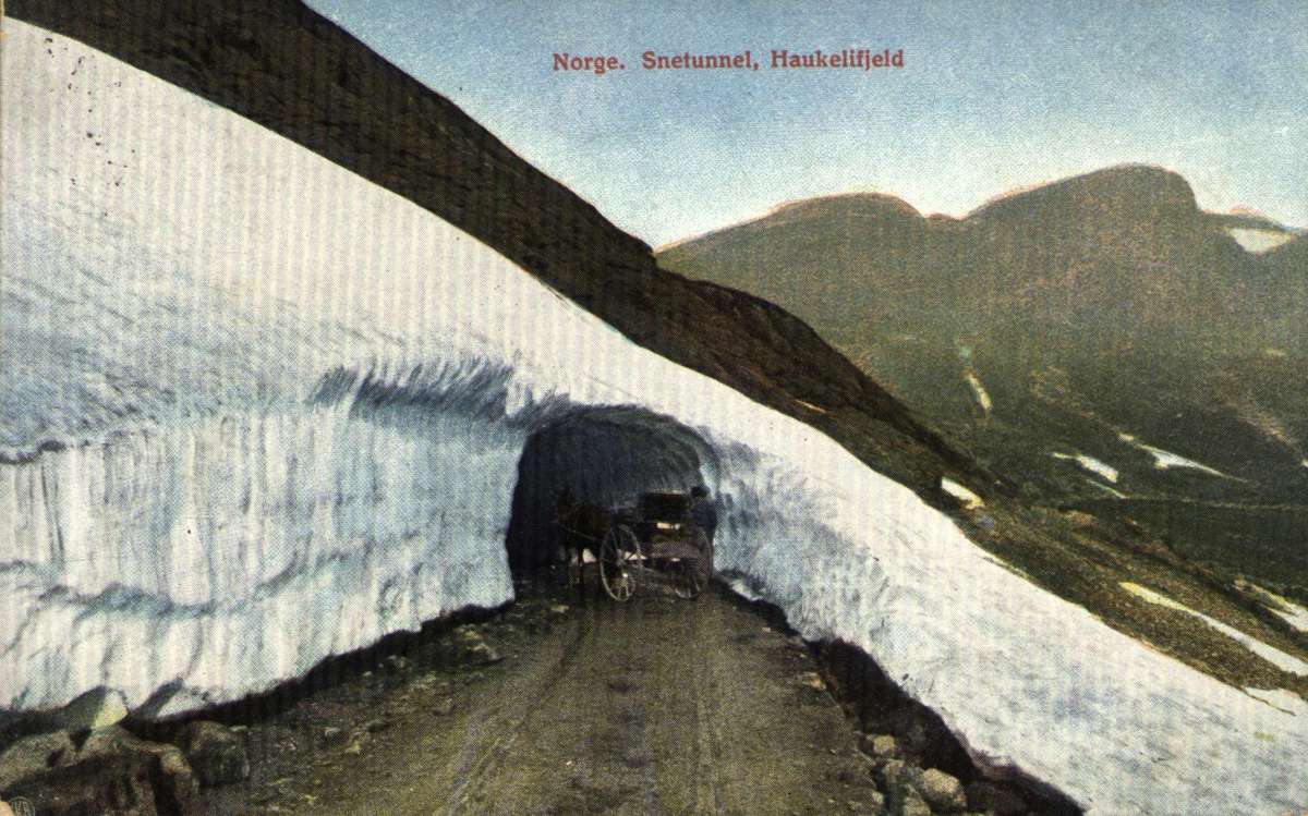 Postkort. Jule- og nyttårshilsen. Fotografisk motiv. Motiv fra Haukelifjell. Fjell. Snøtunnel. Karjol. Datert 14.12.1929.