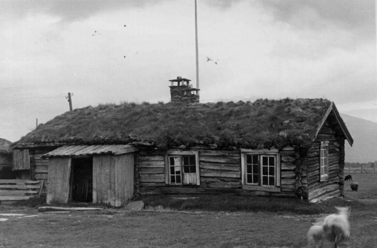 Fåset, (Ola Nordmoen), Tynset, Hedmark 1949. Lita tømmerstue.