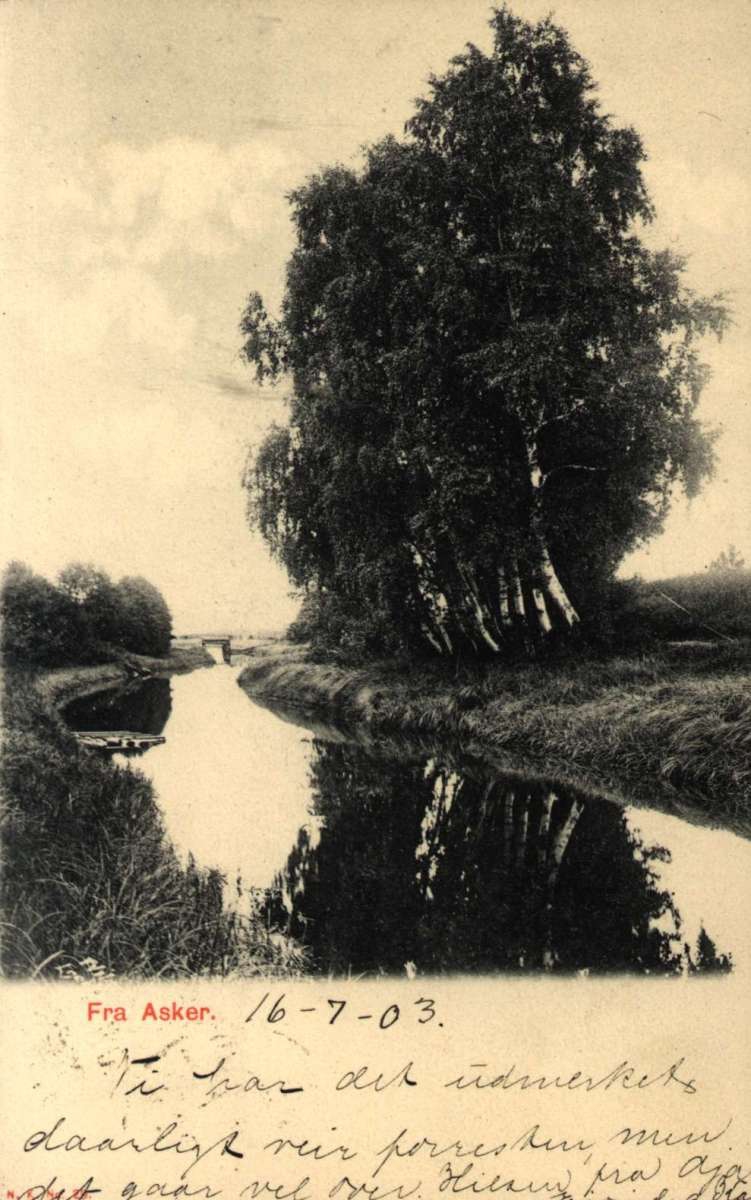 Postkort. Trær og brygge liggr langs en kanal i Asker. Dater 16.07.1903.