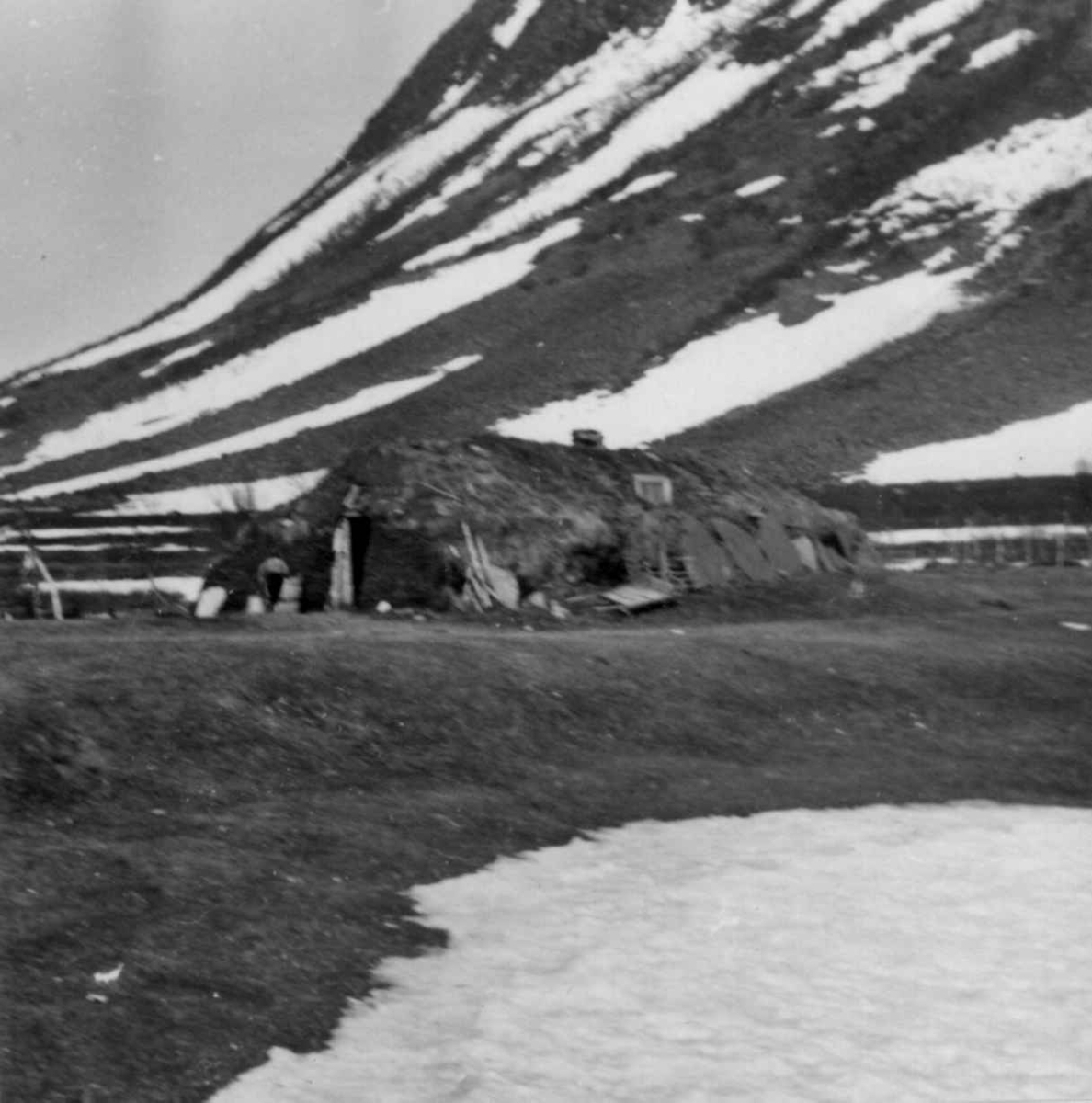 Fjøsgamme, tidligere fellesgamme.  Nordmannsvik 1952.