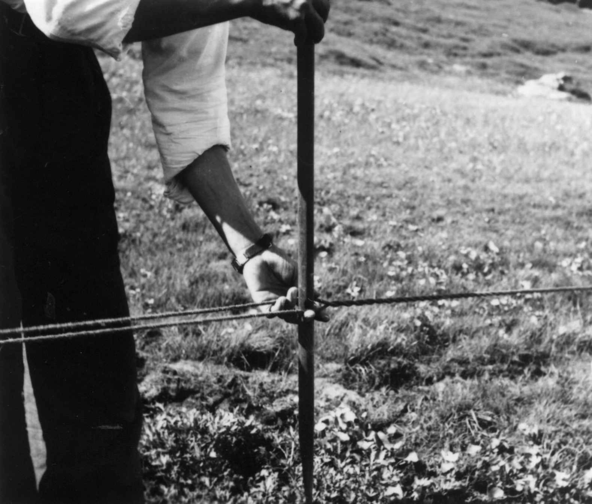 Tautvinning (5). En mann med stokk går fra den som veiver tauet, mot snellen, og passer på at tauet ikke kaster seg. Njosken 1952.