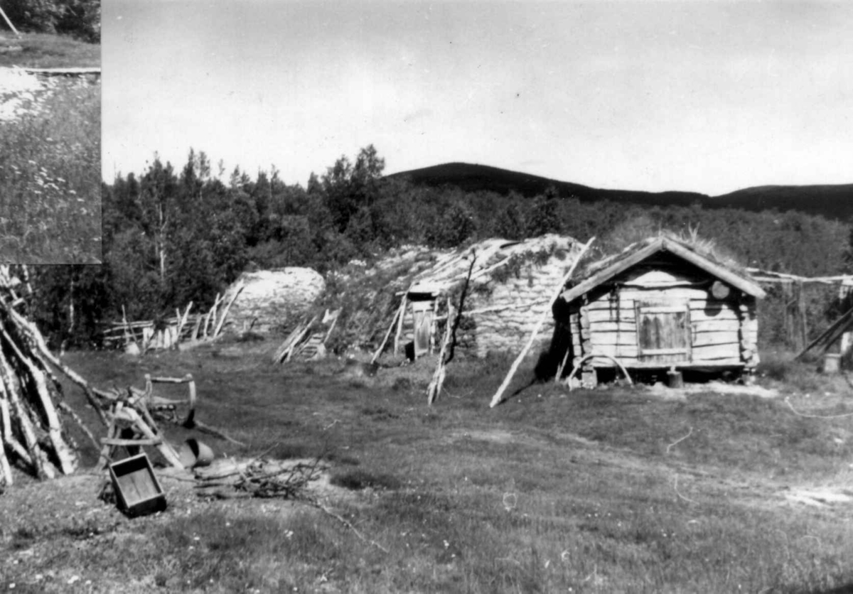 Aslak Hanssens stabbur og fjøsgamme i Sirma, 1952.