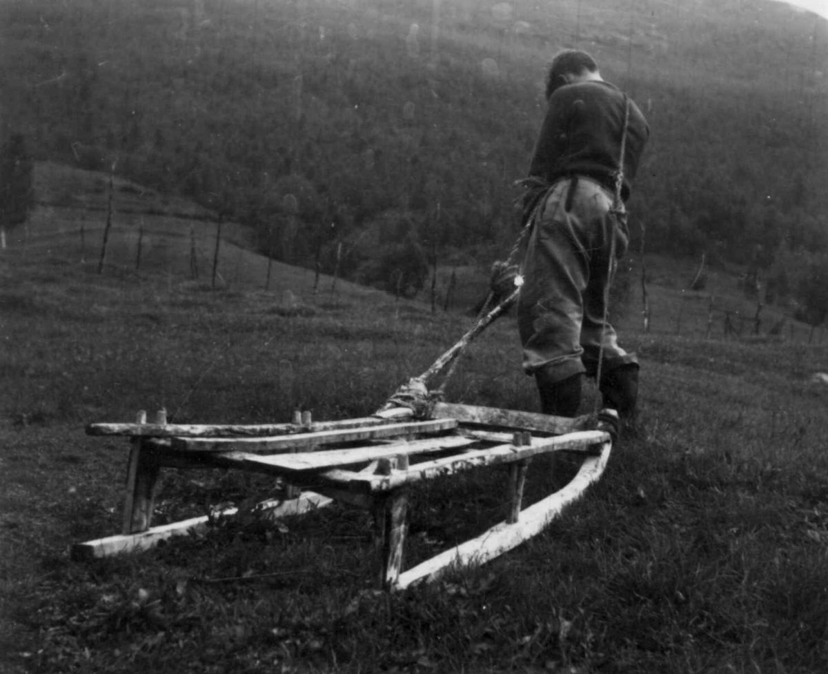 Torvslede uten jernbeslag under meiene blir trukket av en person. Stordalen. 1948.